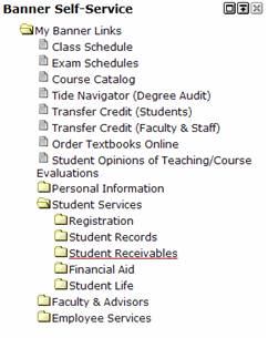 image showing banner submenu for student services