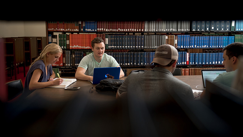 Several students working together in the library