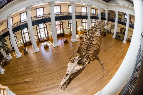 Alabama Museum of Natural History